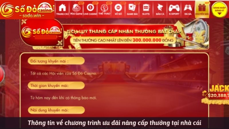 Thông tin về chương trình ưu đãi nâng cấp thưởng tại nhà cái